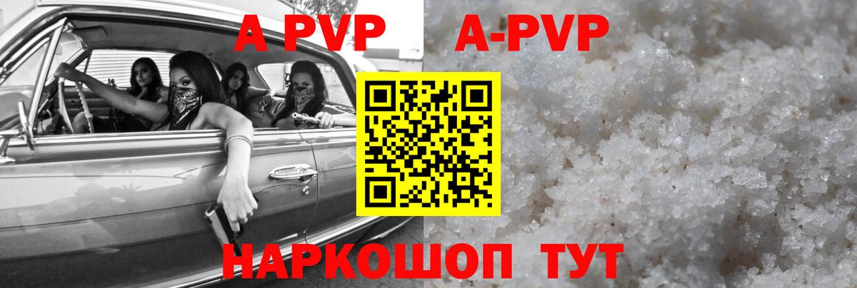 A PVP СК Асино