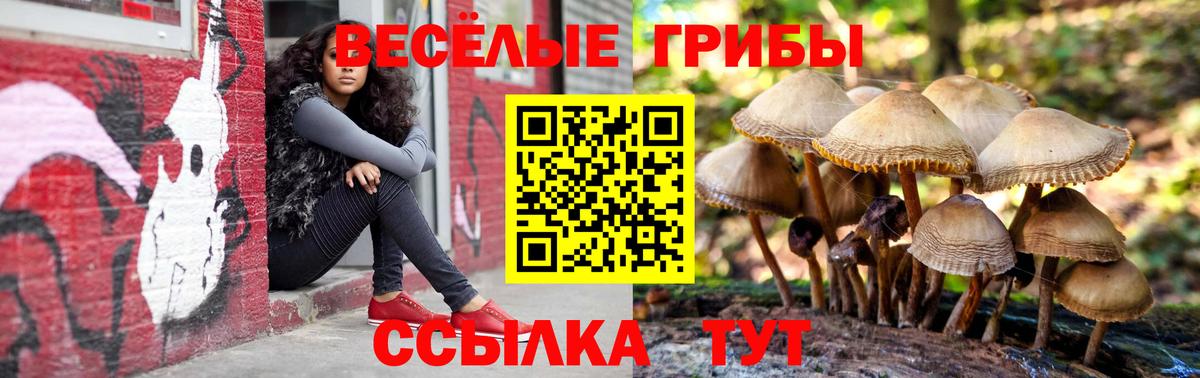 Асино  Псилоцибиновые грибы прущие грибы  Вход с VPN 